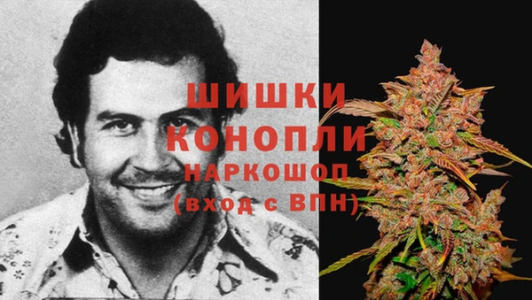 стафф Новодвинск