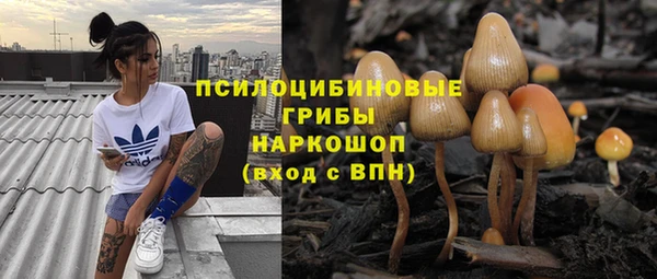 ECSTASY Абинск