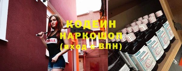 индика Бабаево