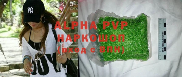 стафф Новодвинск
