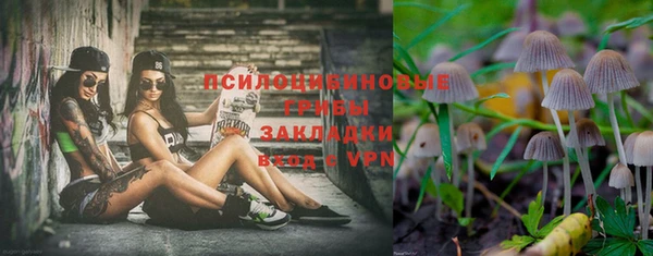 ПСИЛОЦИБИНОВЫЕ ГРИБЫ Аша