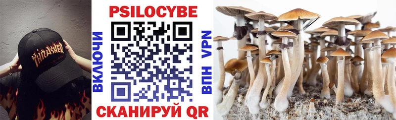 Галлюциногенные грибы прущие грибы  Нерчинск 